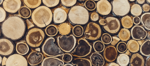 Legno per Parquet: Rovere-Slavonia-o-Rovere-Francese-