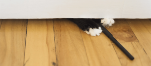 GATTI, CANI E PARQUET. Le soluzioni Woodco