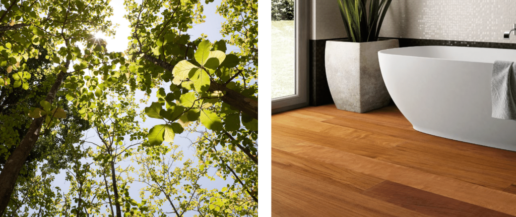 Woodco_legno esotico parquet